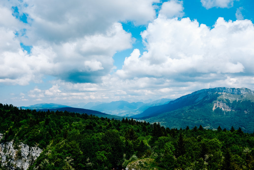 forests and mountains for miles and miles