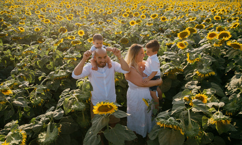 four people stand in a sunflower field smiling