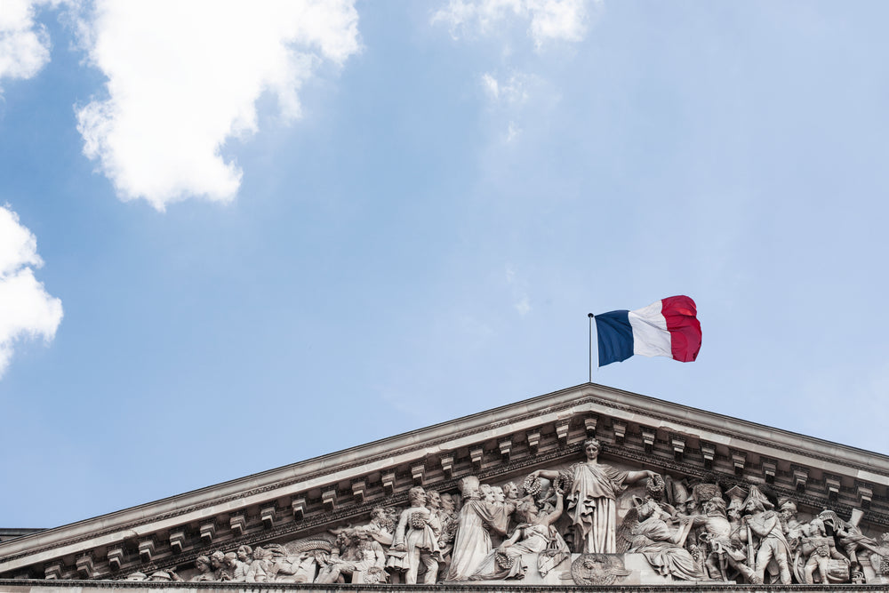 french flag on top of building