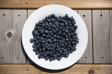 Fresh Blueberries