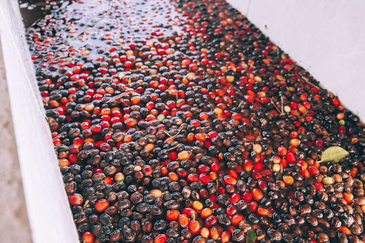 fresh-coffee-beans-in-water.jpg?width=74