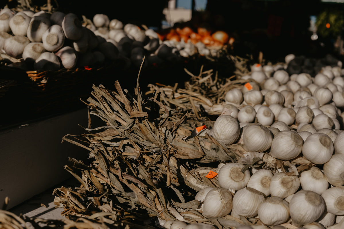 fresh garlic bulbs in braids at farmers market
