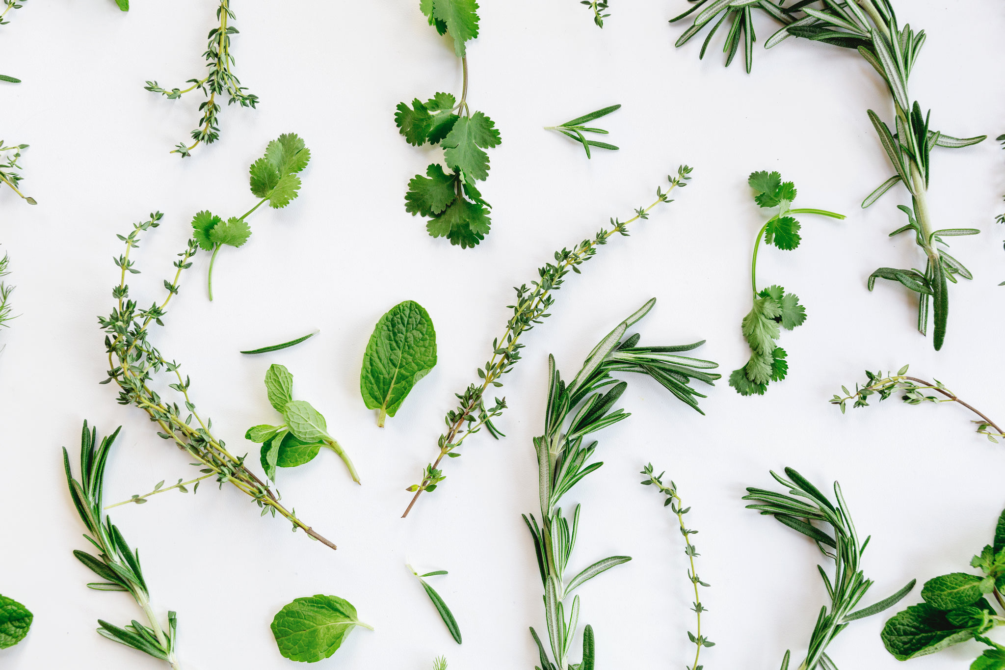 Fresh Herb Flatlay