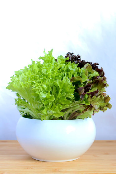 fresh lettuce greens in bowl