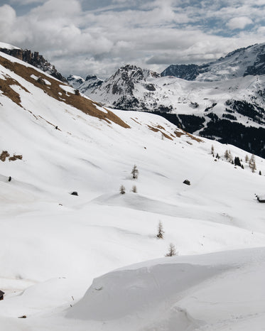 fresh powered snow cascading down hills