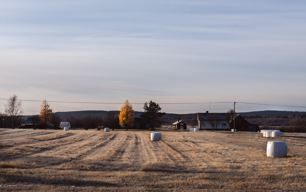 freshly baled field