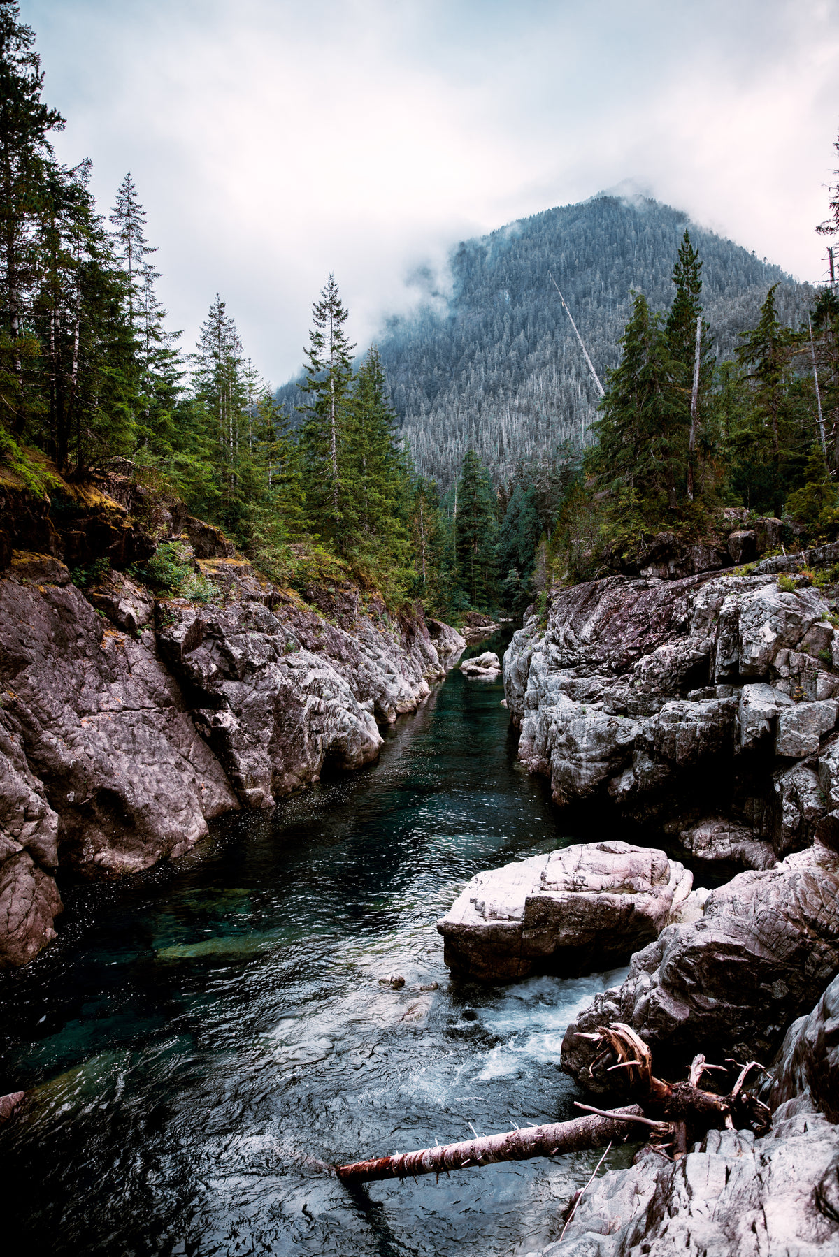 freshwater mountain creek