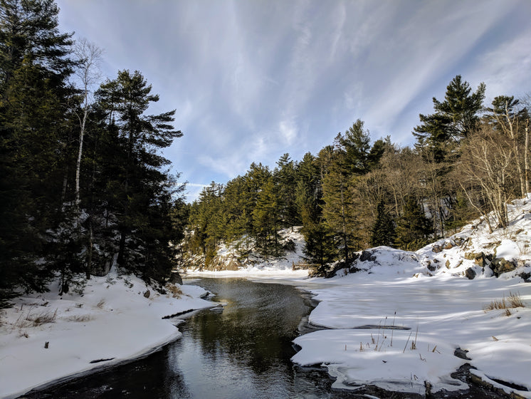 Freshwater Stream Through Snowy Winter Shores