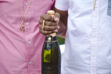 friends celebrating with champagne