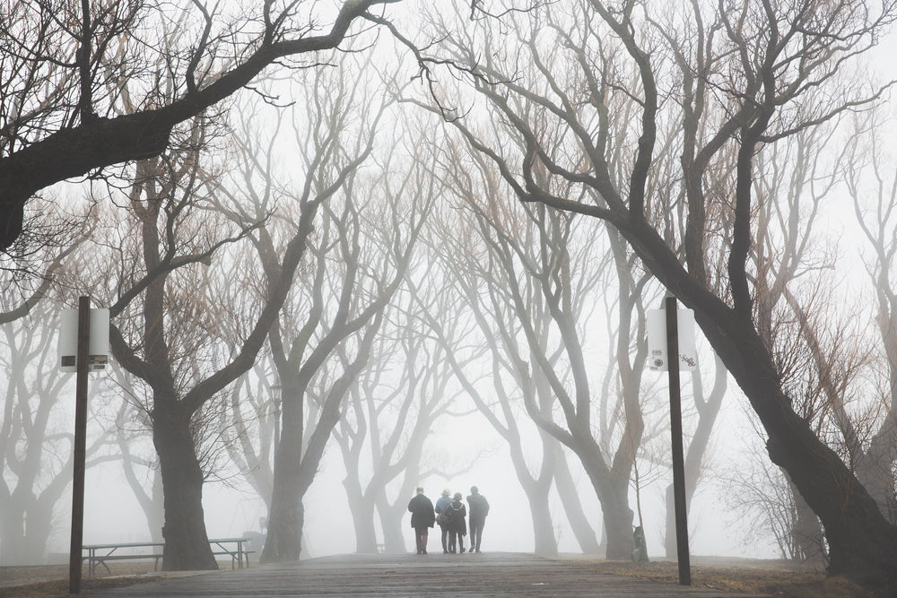 friends walk foggy path