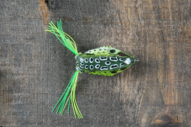 Picture of Frog Fish Hook — Free Stock Photo