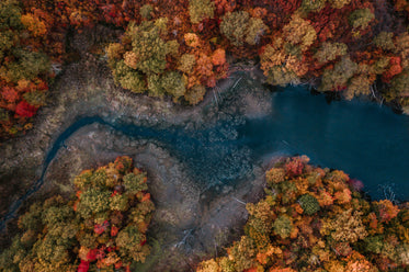 frost biting at a river in fall