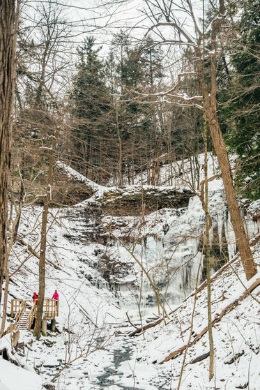 frozen valley