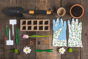 gardening flatlay