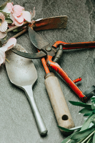 gardening tools lay on a grey surface with pink flowers