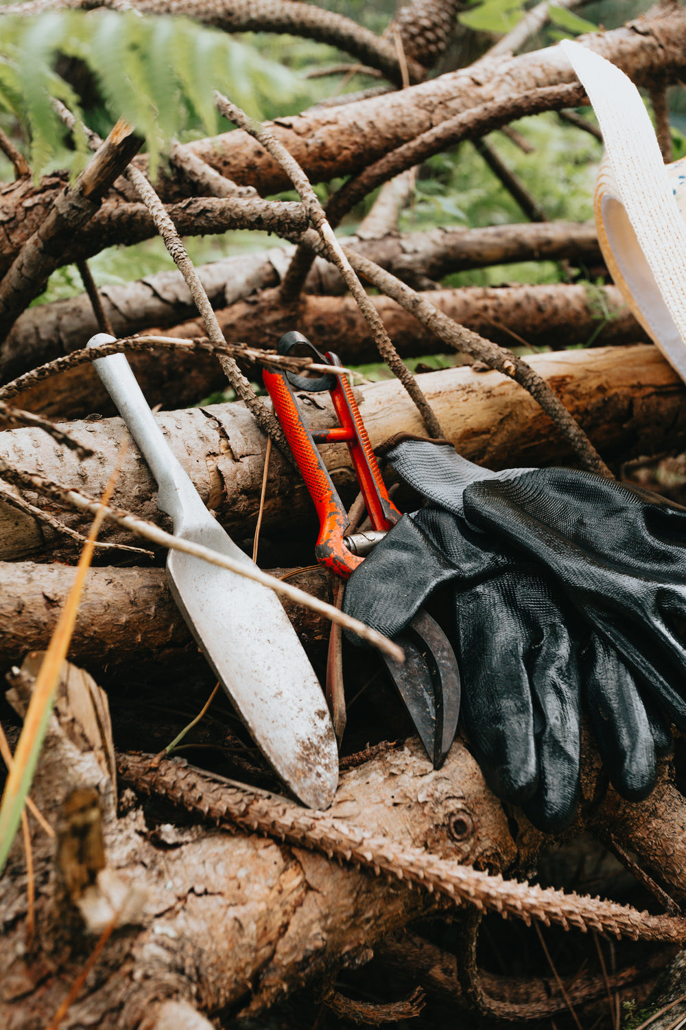 gardening tools leaning against a pile of wooden sticks