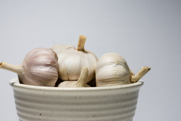 garlic bulbs in bowl