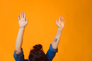 genderqueer pride flag painted on arm