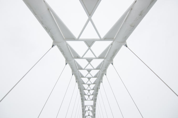 geometric-walking-bridge-white-sky.jpg?width=746&format=pjpg&exif=0&iptc=0