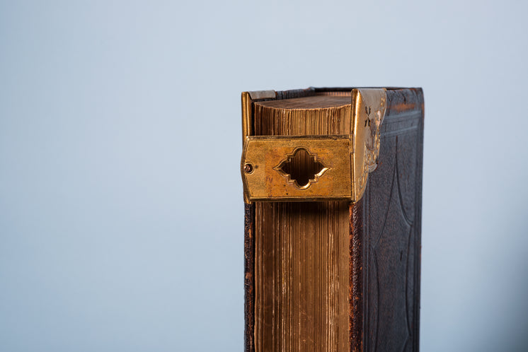 Gilded Pages Of Antique Book