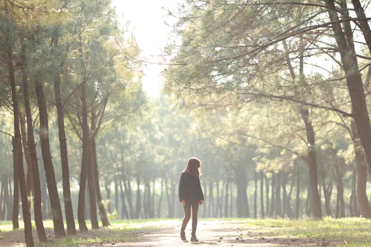 girl walks through sun drenched grove filled with pine trees
