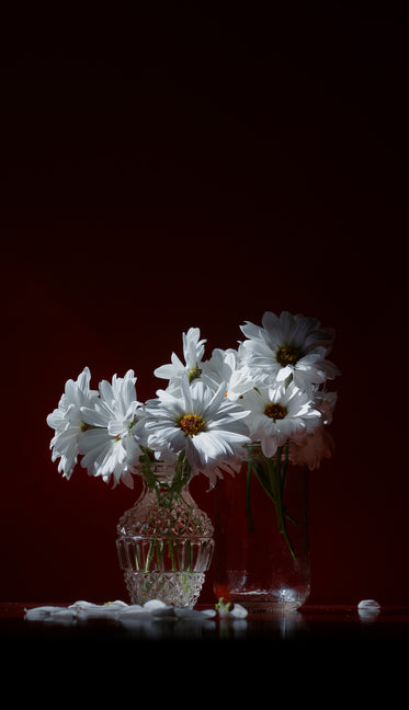 glass jar and glass vase with white daisies
