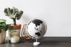 globe and plants on desk