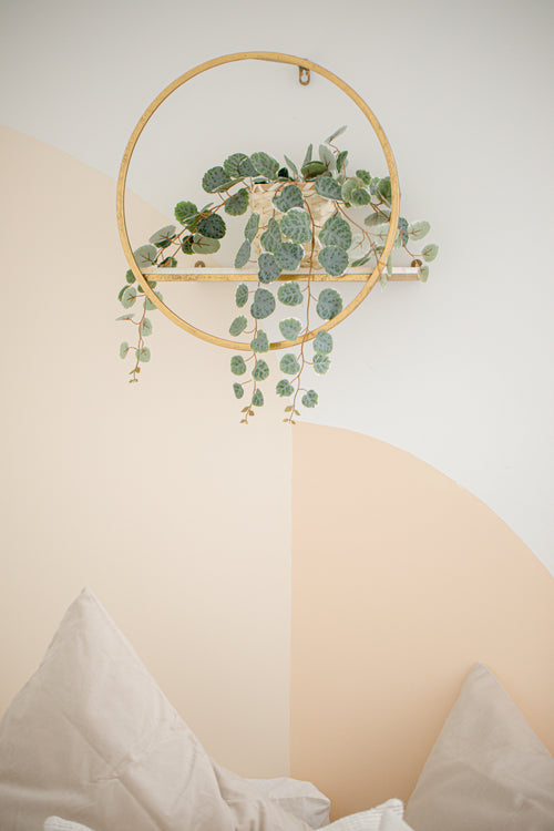 gold circular shelf with a plant on it