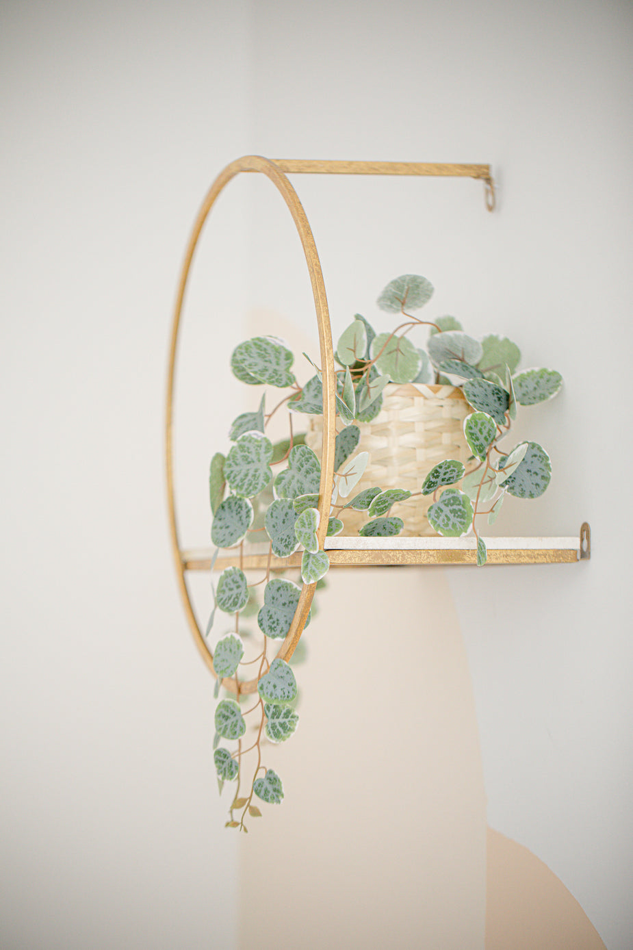 green vine house plant Browse Free HD Images of Gold Shelf With A Green Vine House Plant