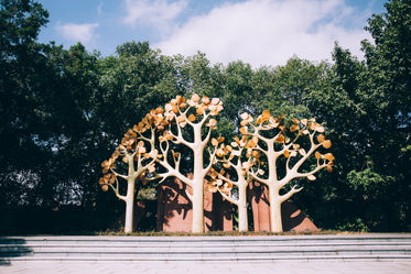 golden and green trees