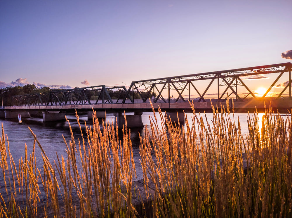 golden crops and metal bridge at dusk