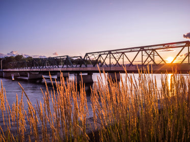 golden crops and metal bridge at dusk