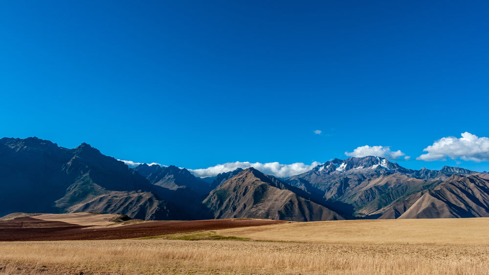 golden grasses and mighty mountains