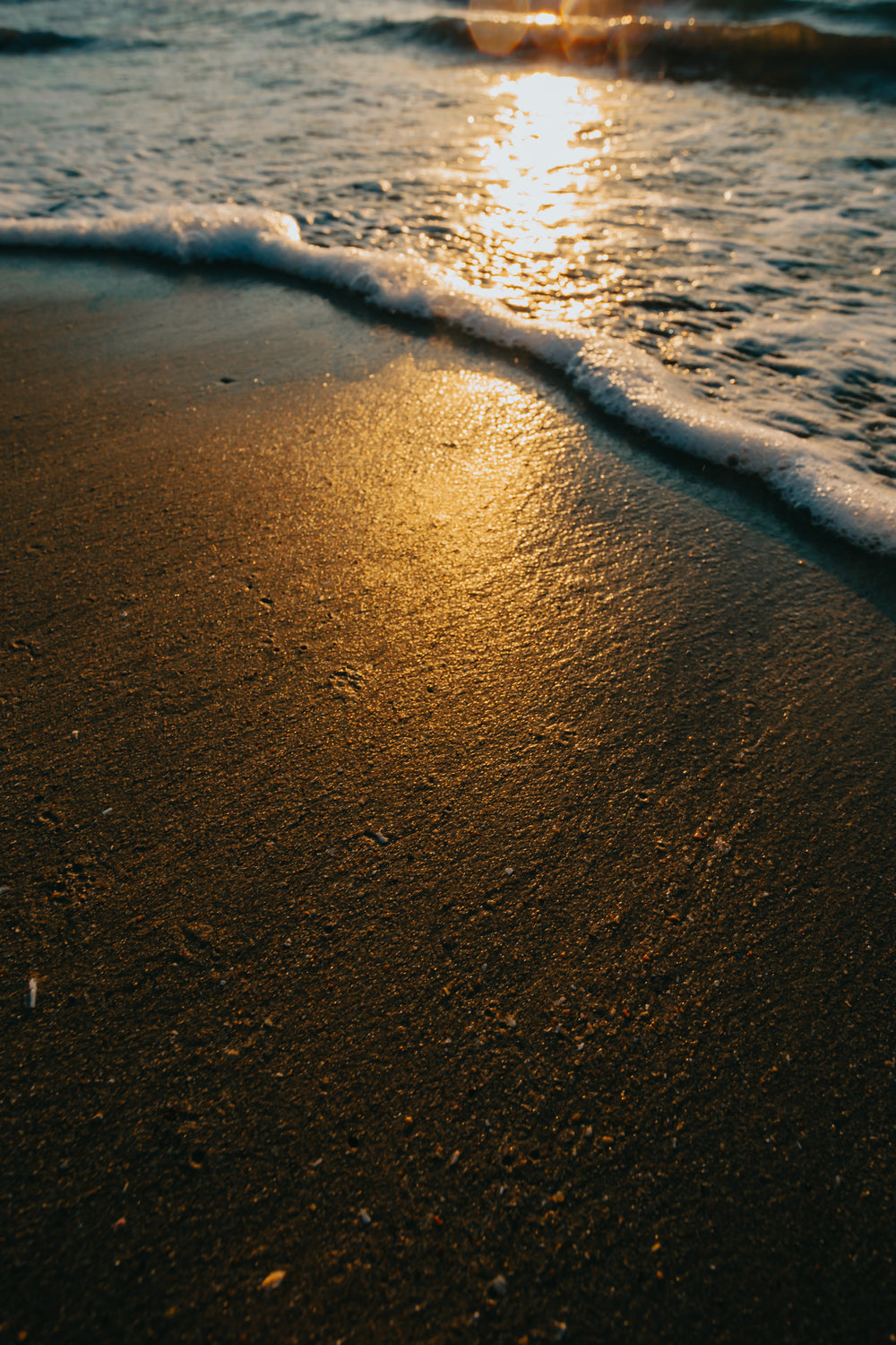 golden light on a sandy beach with lapping waves