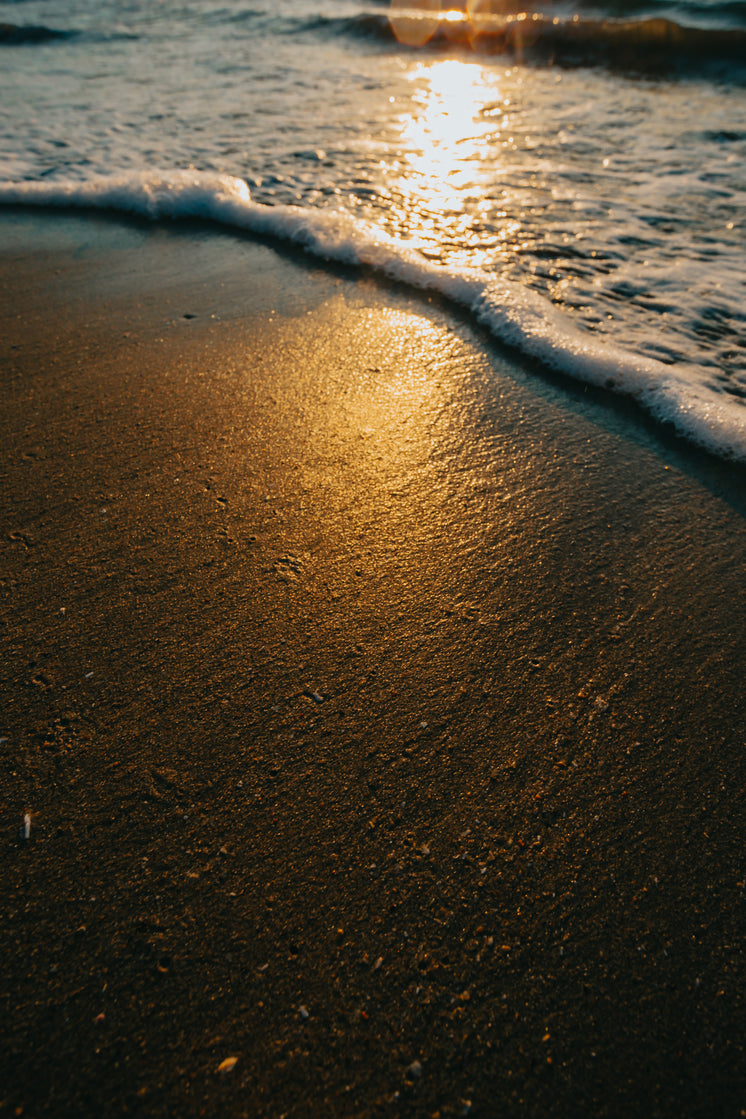 Golden Light On A Sandy Beach With Lapping Waves