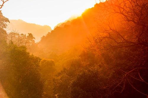 golden sunrise over tree-lined hills