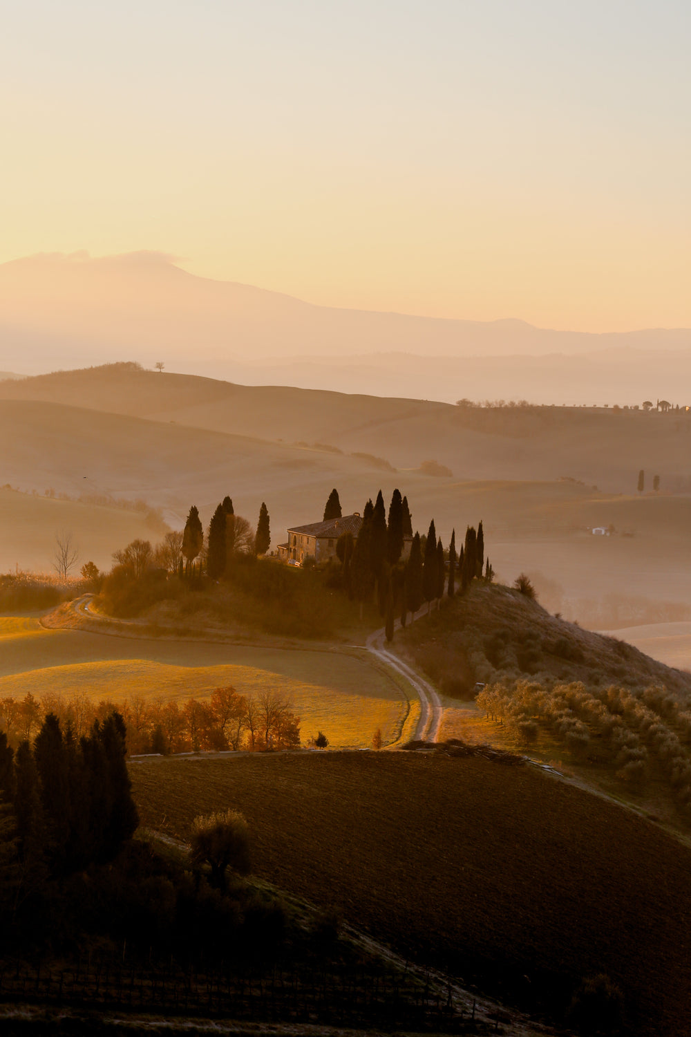 golden sunset over rolling hills