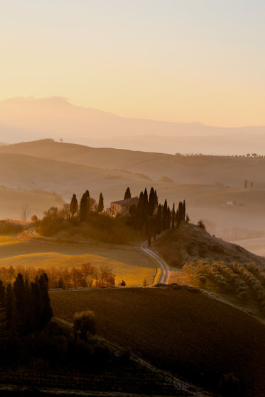 golden sunset over rolling hills