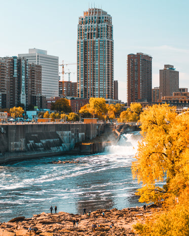 golden trees surround a wide river by a city