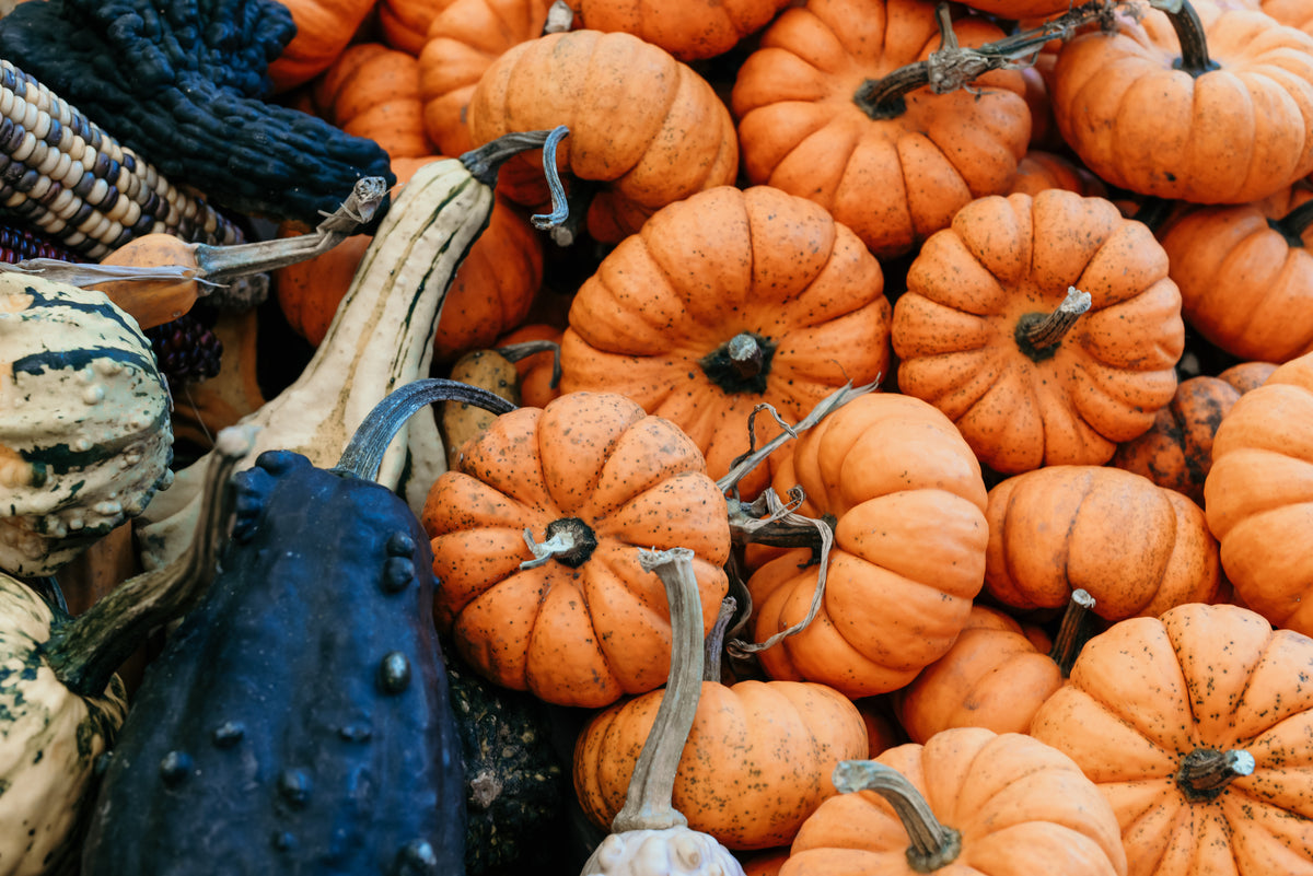 gourds and pumpkins texture