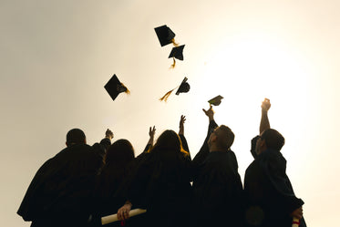Browse Free HD Images of Grad Students Throwing Hats In The Air