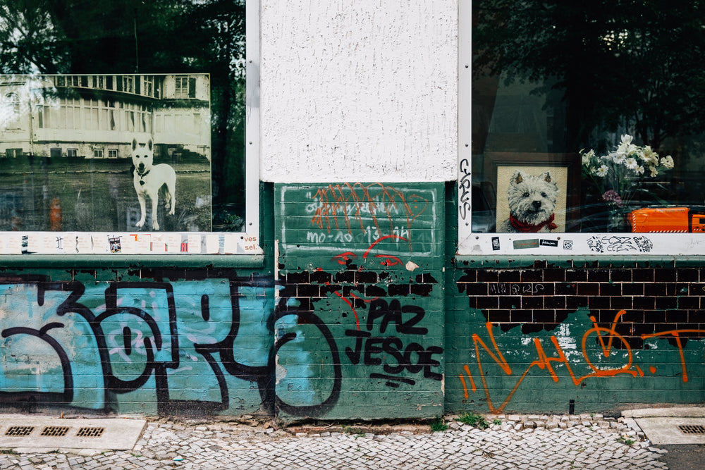 graffiti covered building in the city