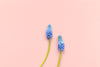 grape hyacinths against pink background