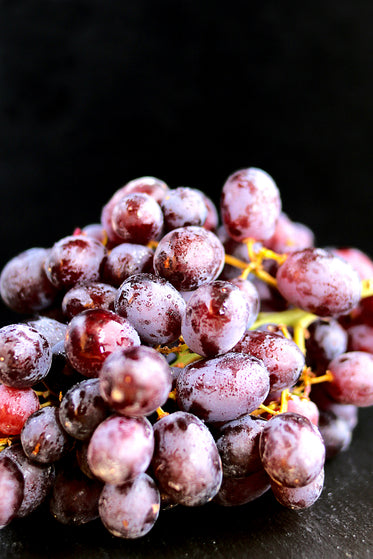 grapes on stem with moisture