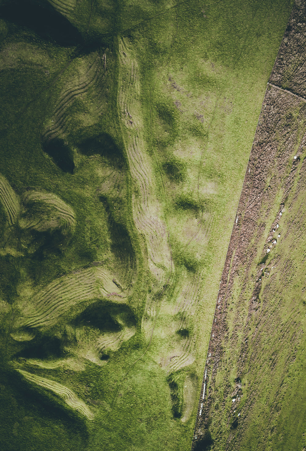 grasslands and hills aerial