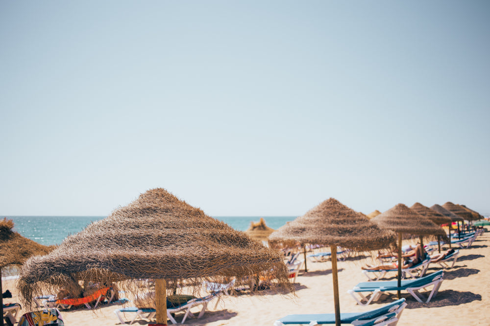 grassy beach umbrellas