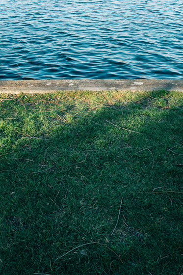 grassy edge by calm blue water