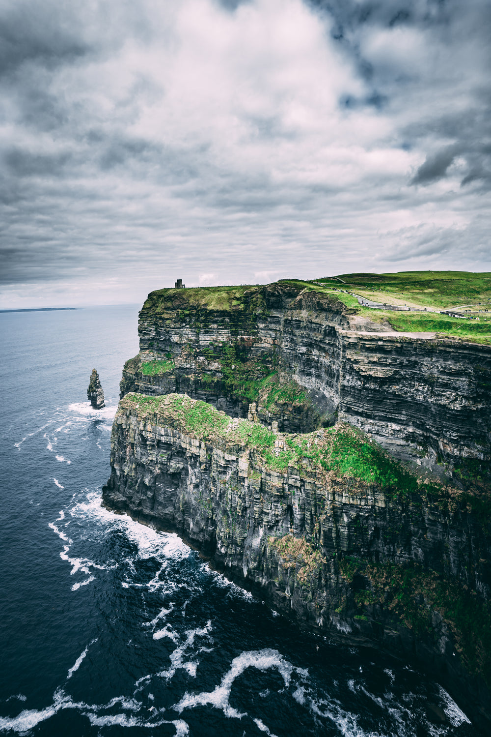 grassy tops on rocky cliffs by ocean shore