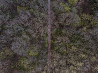 Browse Free HD Images of Gravel Path Goes Through The Middle Of A Forrest