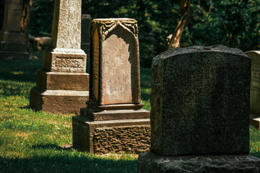 graveyard in sun